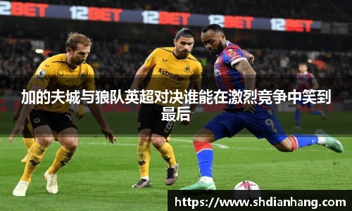 k1集团加的夫城与狼队英超对决谁能在激烈竞争中笑到最后